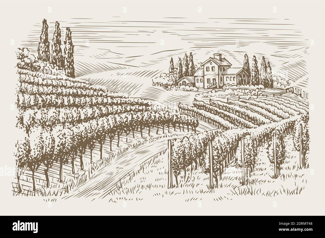 Vineyard landscape vintage. Hand drawn sketch vector illustration Stock Vector