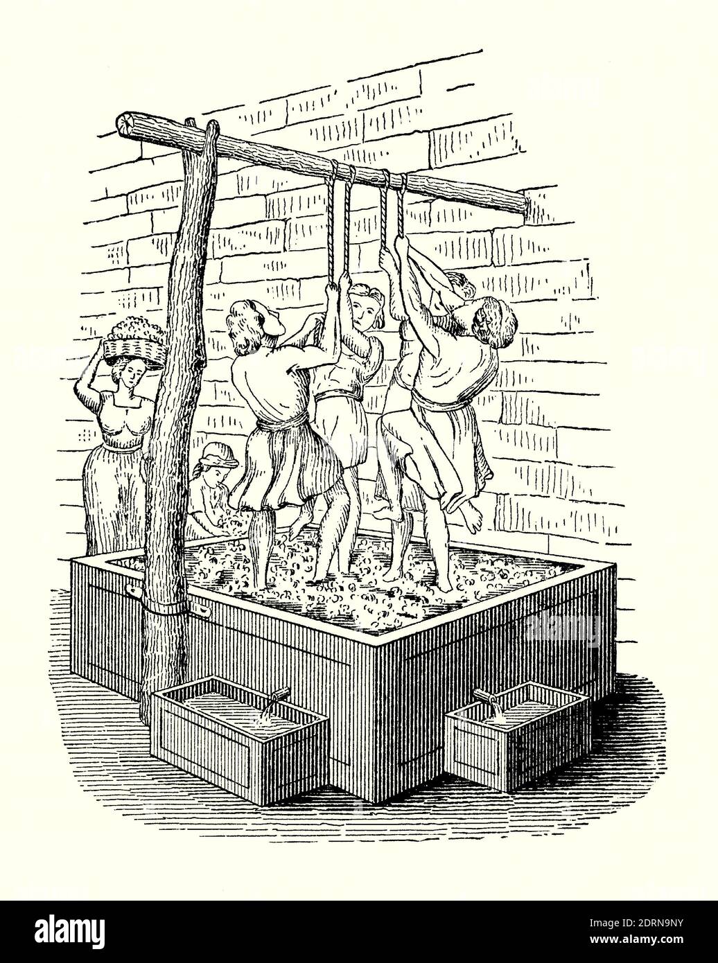 An old engraving of men treading grapes in a wine press, Syria in the 1800s. It is from a