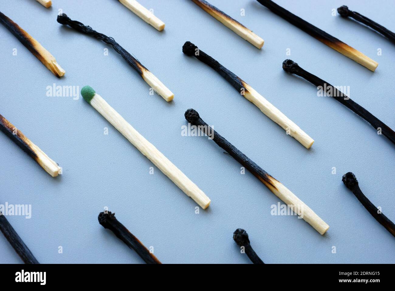 Burnout at work. Burnt matches and one whole Stock Photo Alamy