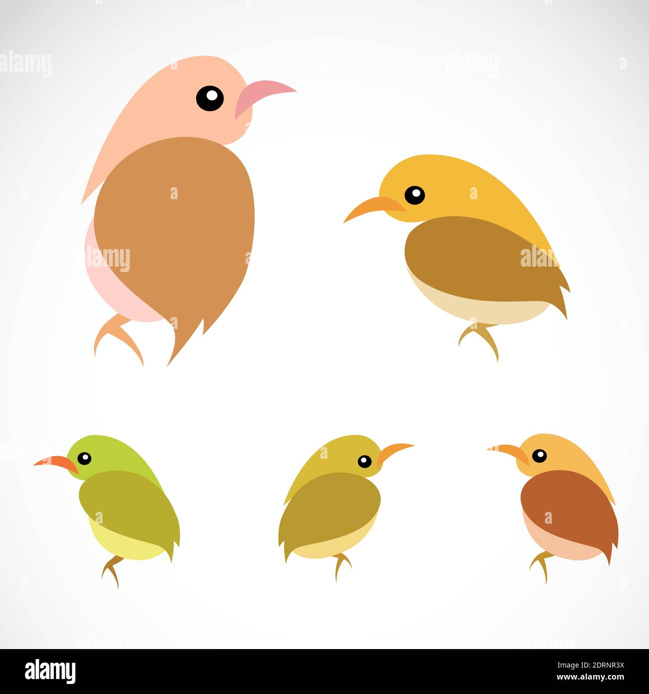 Vector image of an sparrow on a white background Stock Vector