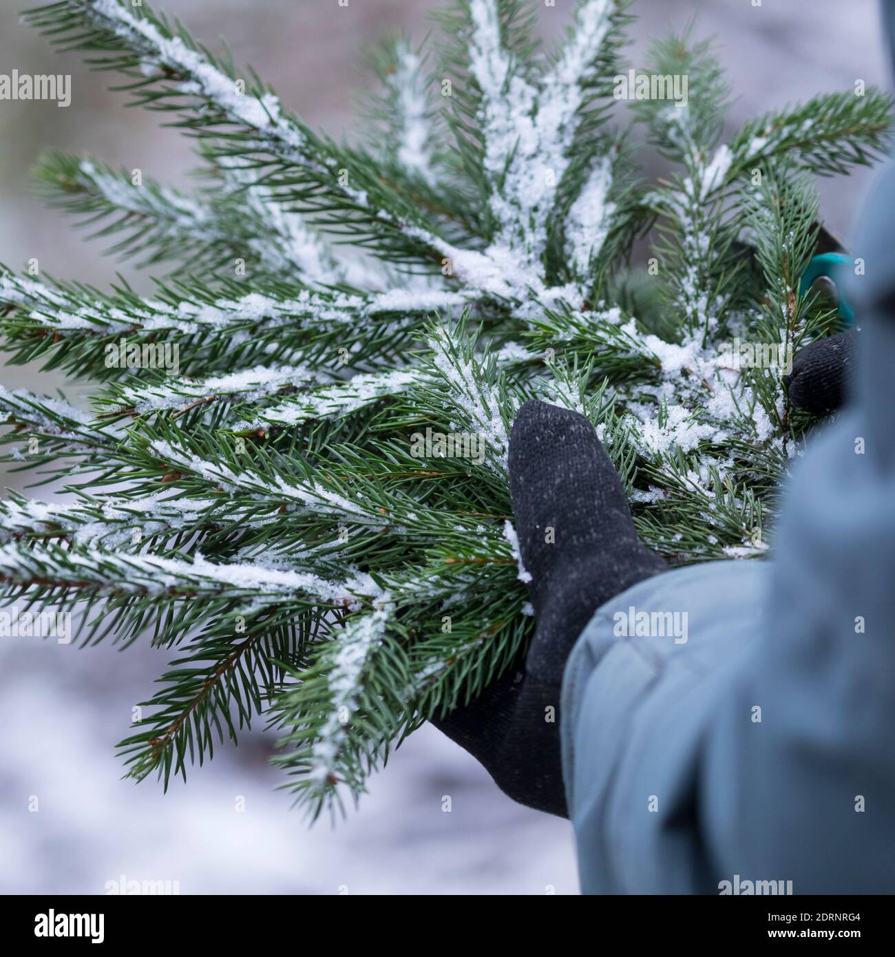 Ficht High Resolution Stock Photography and Images - Alamy
