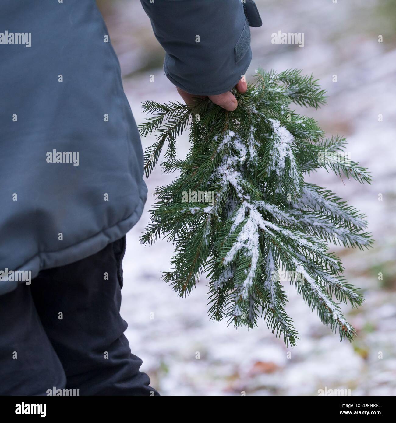 Ficht High Resolution Stock Photography and Images - Alamy
