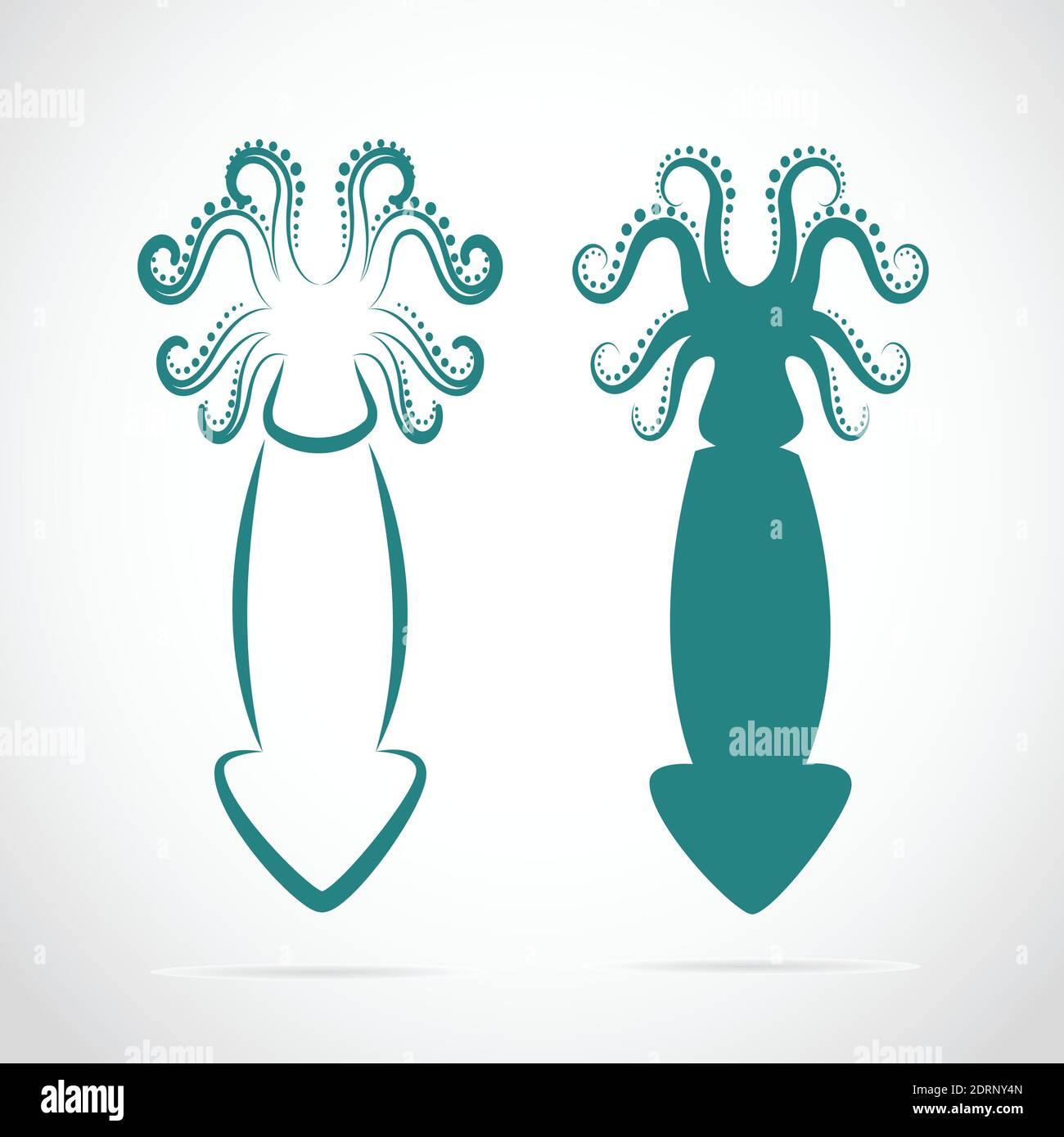 Vector image of an squid on white background. Stock Vector