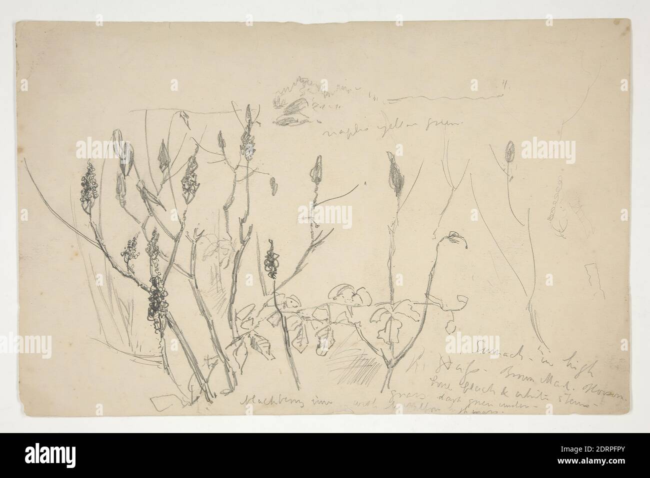 Edwin weeds hi-res stock photography and images - Alamy