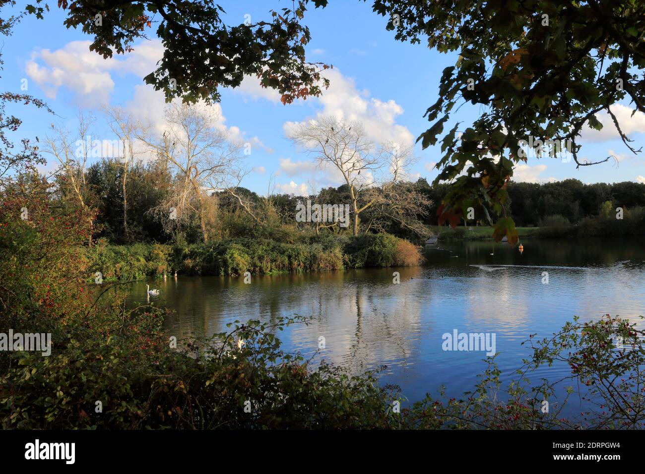 View over Gunwade Lake, Ferry Meadows country park, Peterborough