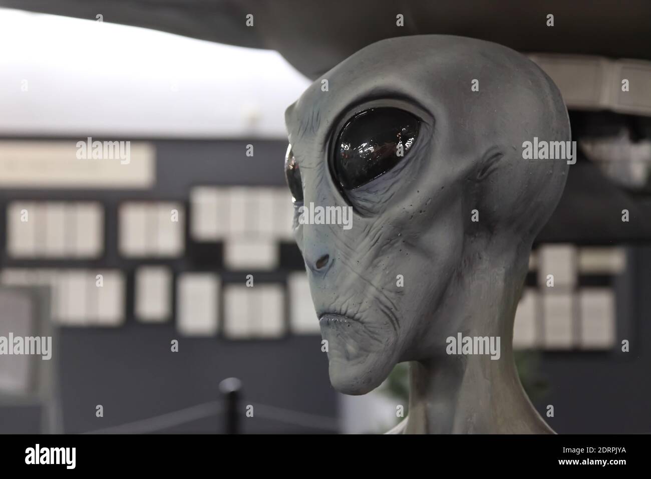 Grey/Gray Alien statue at UFO museum in Roswell, New Mexico, displaying UFO crash from 1947 Stock Photo