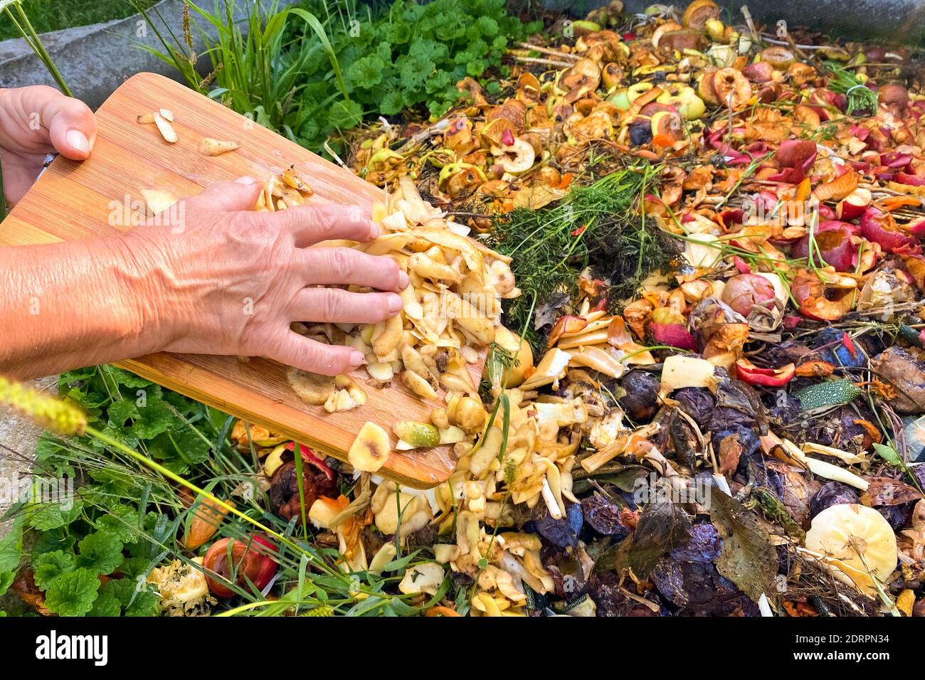 Composting at home concept senior woman emptying food waste and