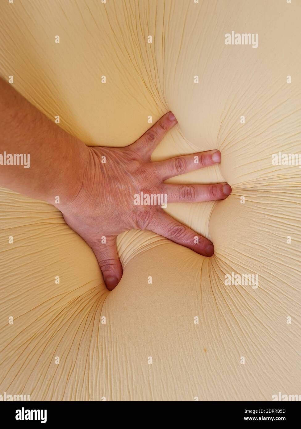 A top view closeup of a person's hand sinking onto a memory foam pillow