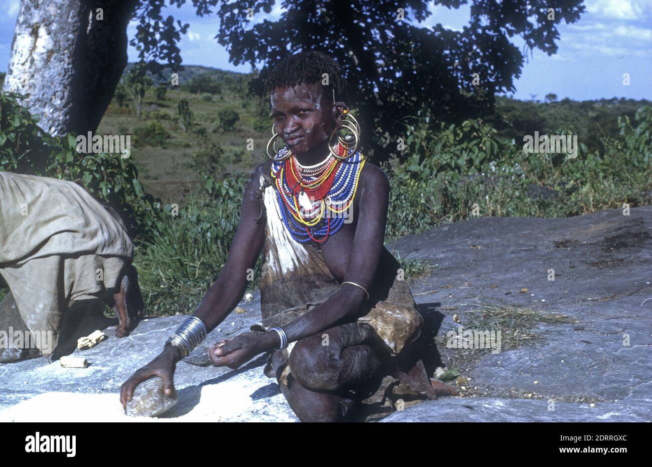 West Pokot woman grinding millet Kenya Stock Photo Alamy