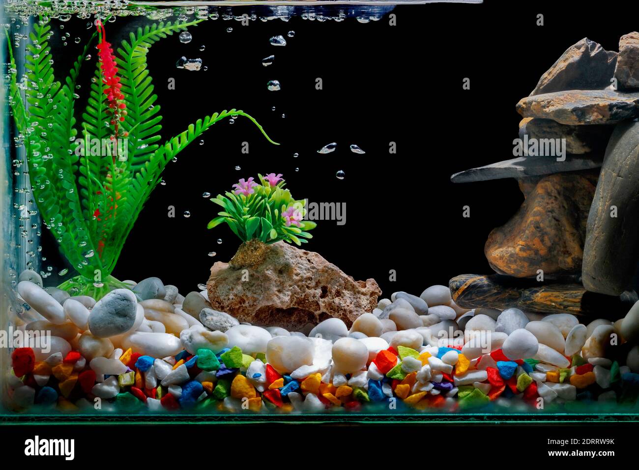 Fish Tank Decorations, With Gravel And Trees On A Black Backdrop Stock  Photo - Alamy