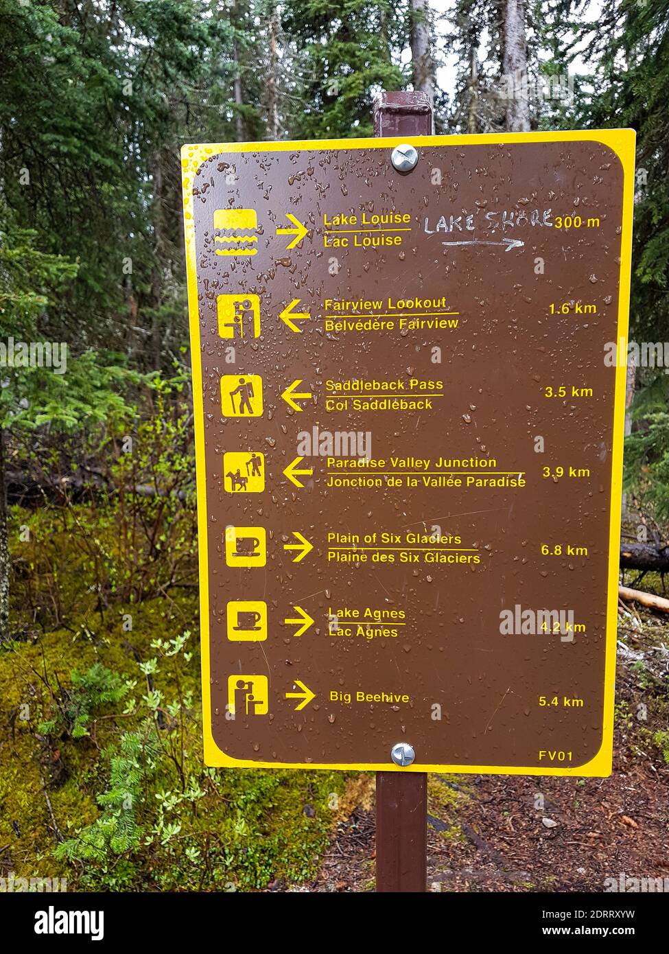 Hiking signs at the lake Louise in Canada. Nobody Stock Photo
