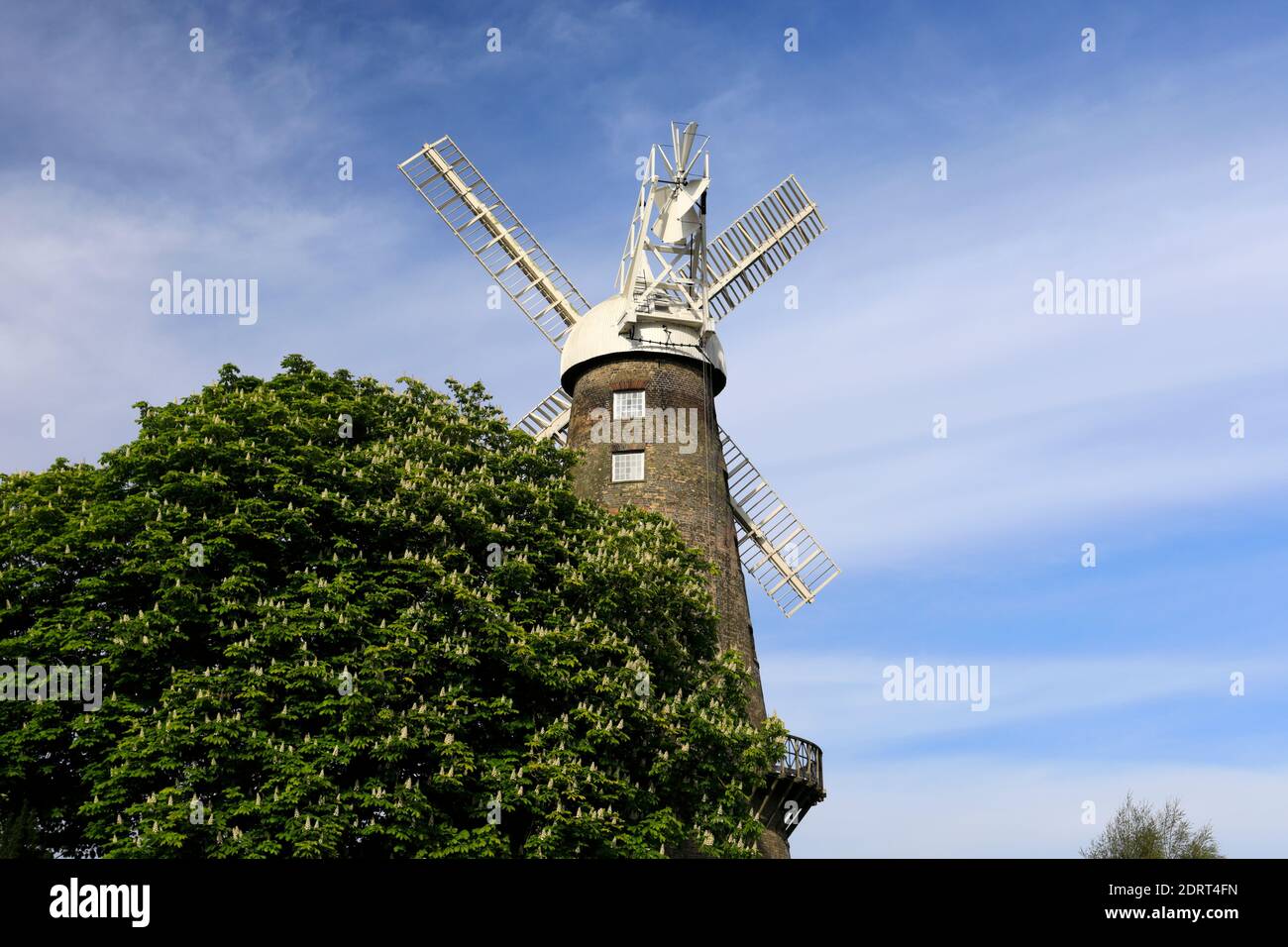 Moulton tower windmill, Moulton village, Lincolnshire, England The tallest tower mill in Britain. Stock Photo