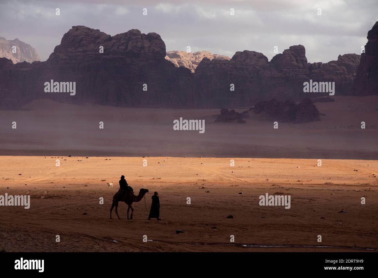 Bedouins and iteir camel at sunset in the desert of Wadi Rum, Jordan, just a few weeks before the global lockdown Stock Photo