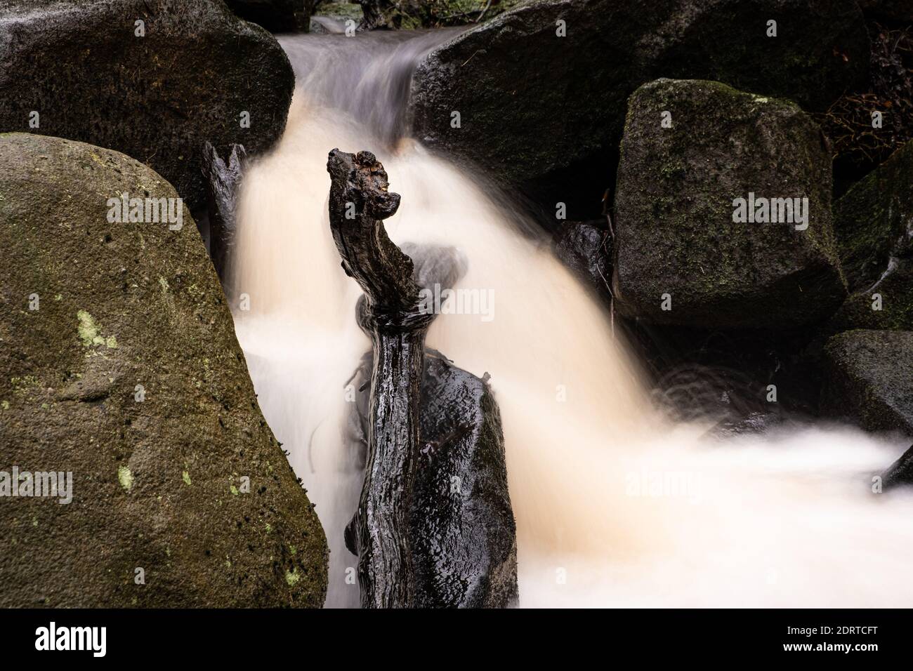 Padley Gorge in Autumn Winter Running Water Stock Photo