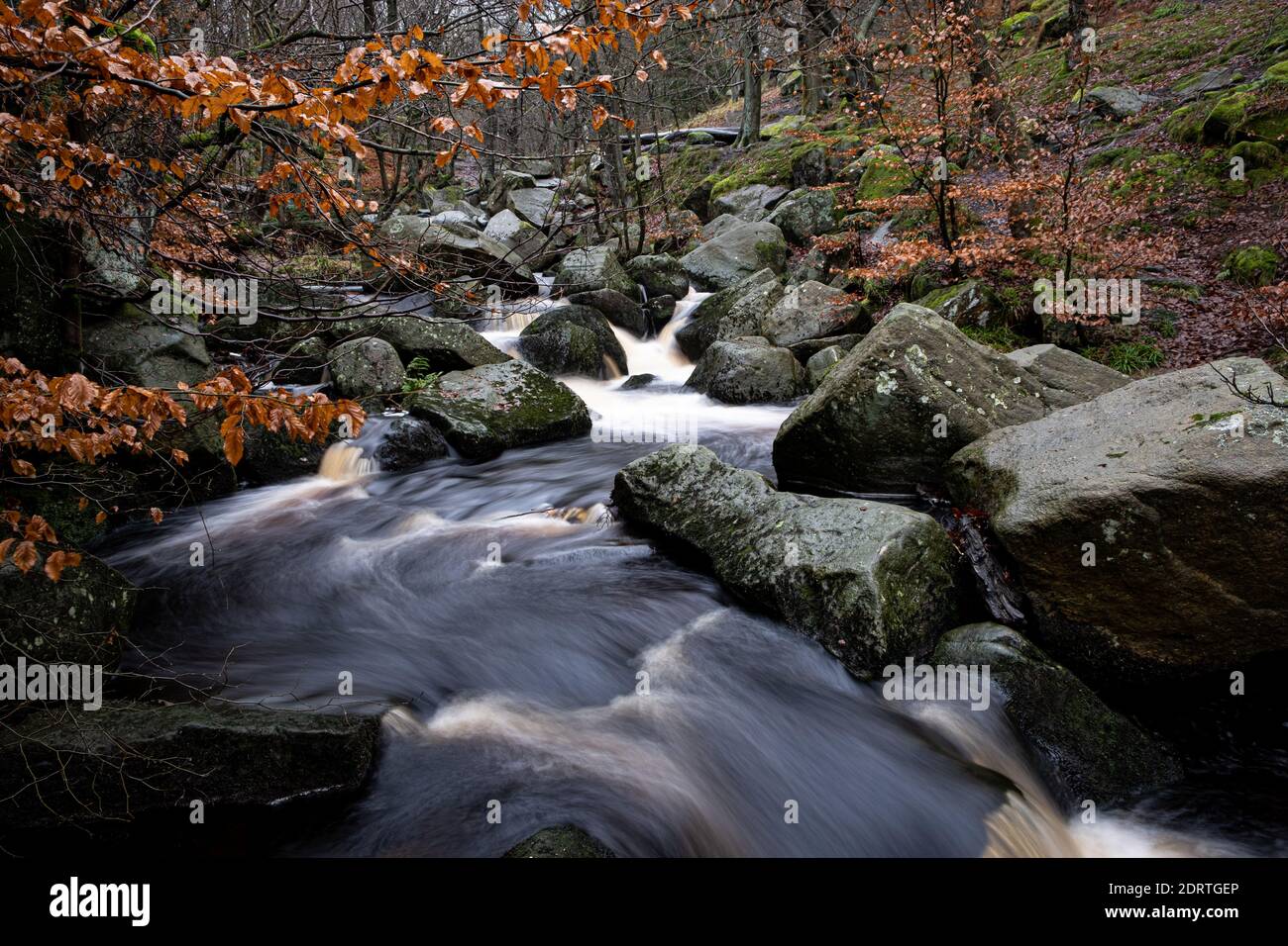 Padley Gorge in Autumn Winter Running Water Stock Photo