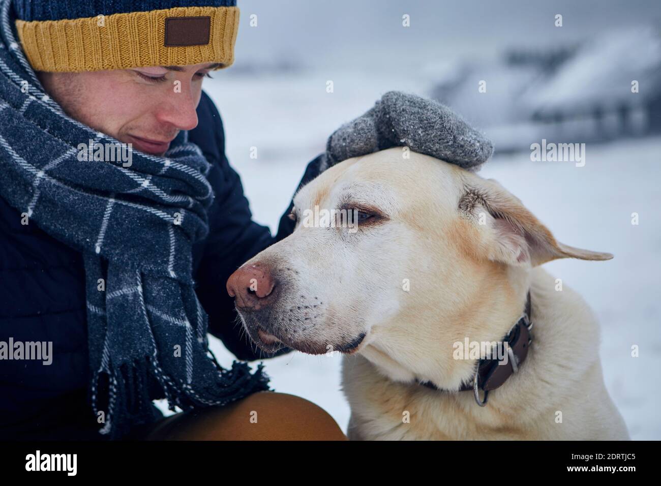 Man in warm clothing stroking dog on snowy field. Pet owner and his labrador retriever against winter landscape. Stock Photo