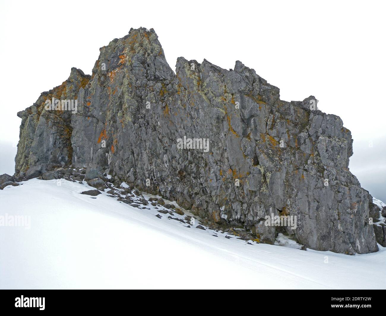 Scenery Half Moon Island, Antarctica Stock Photo - Alamy