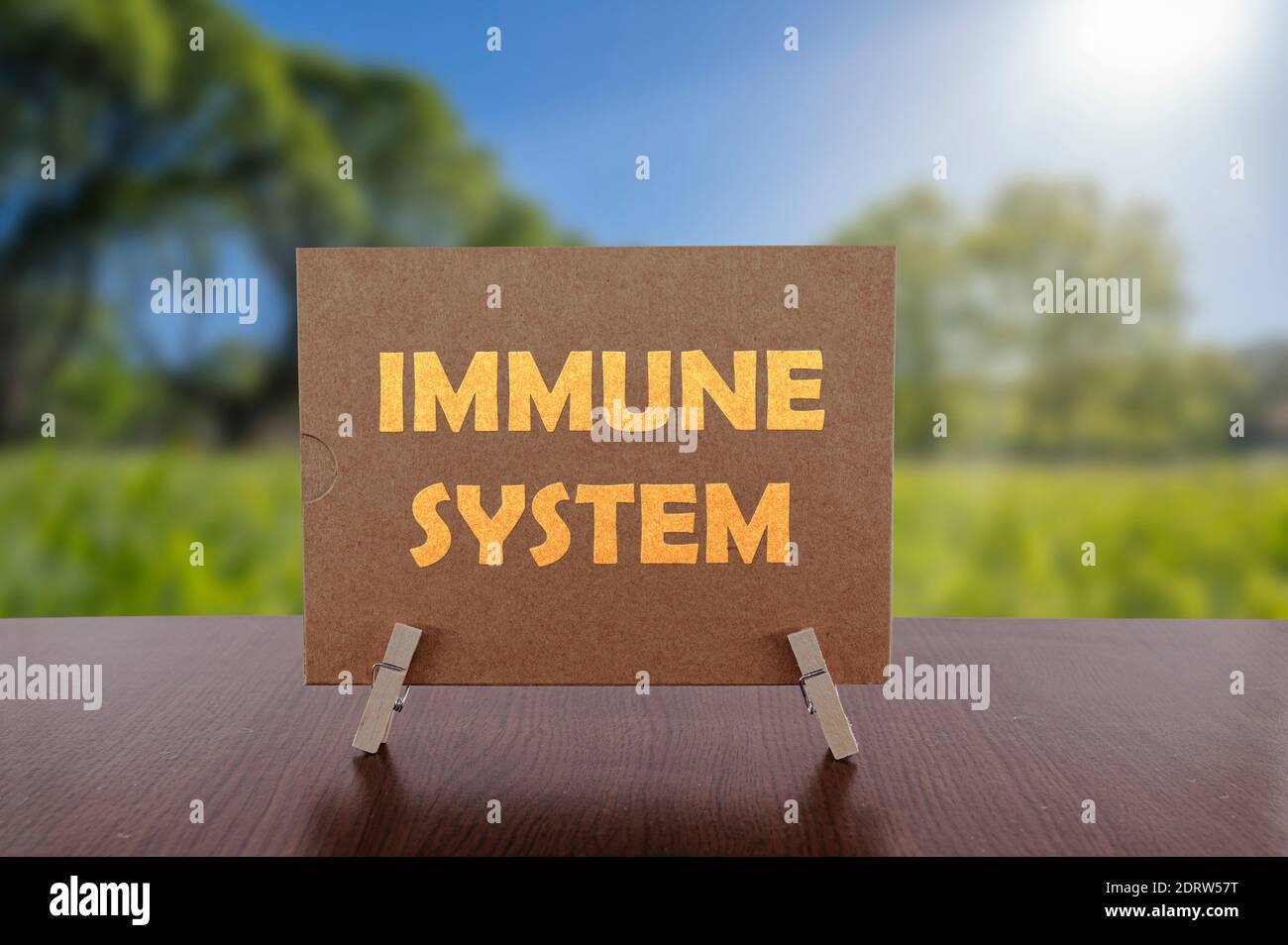 Immune system text on card on the table with sunny green park background. Health concept. Stock Photo