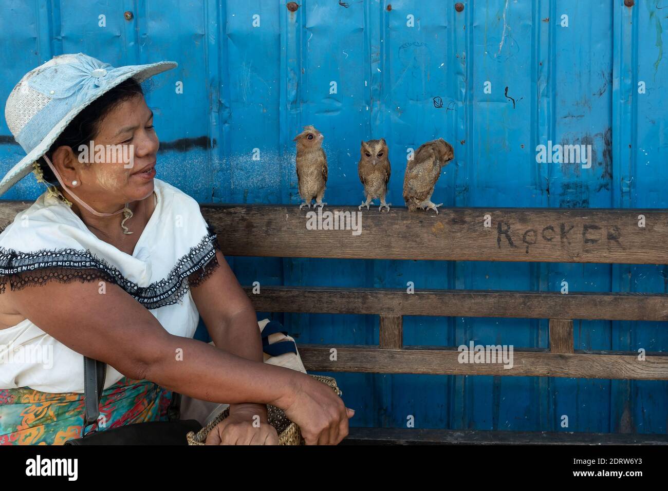 The seated woman looks at the three owls standing on the back of the bench. Myanmar Yangon 2019 Stock Photo
