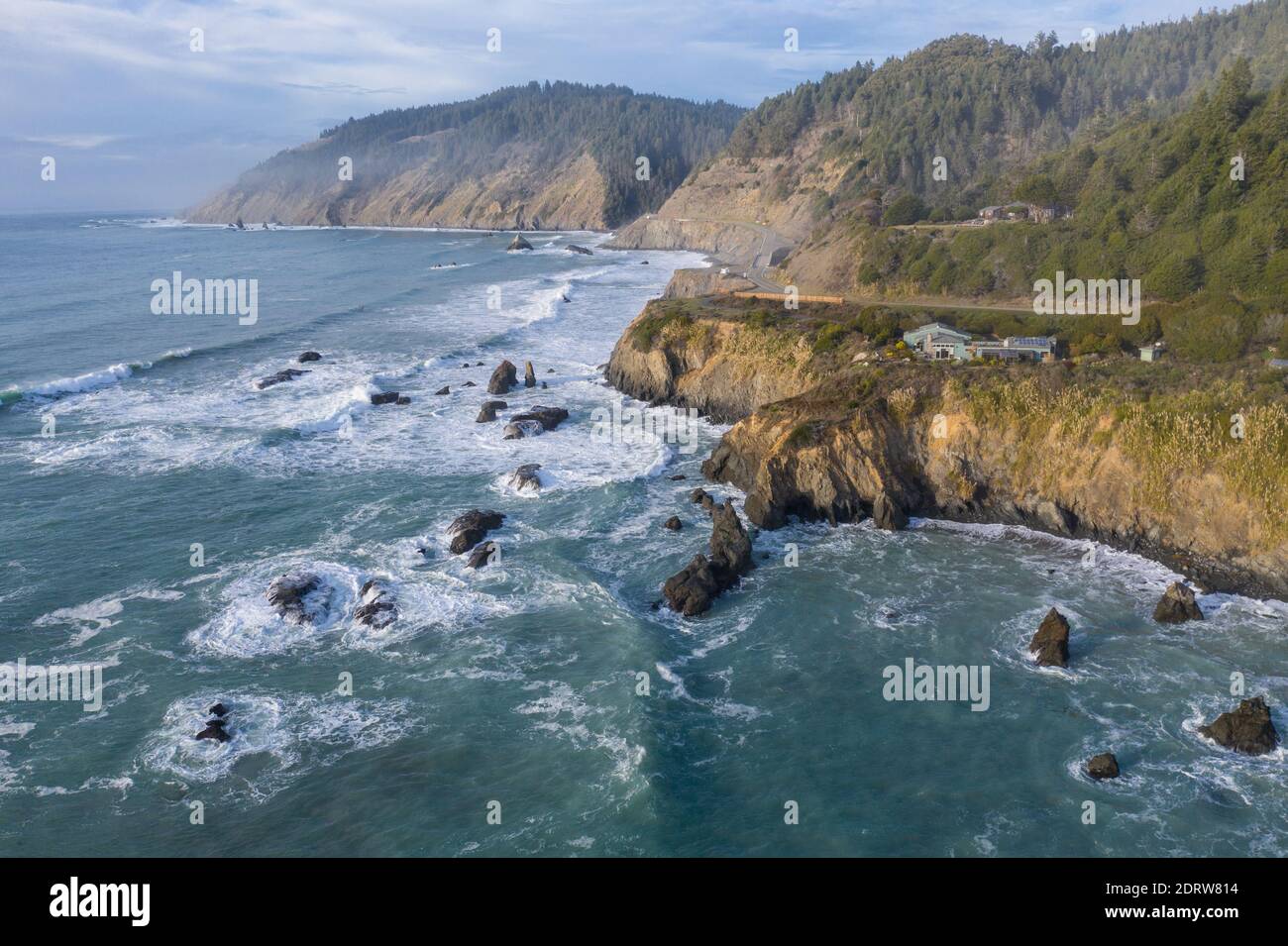 The cold, nutrientrich waters of the Pacific Ocean beat against the