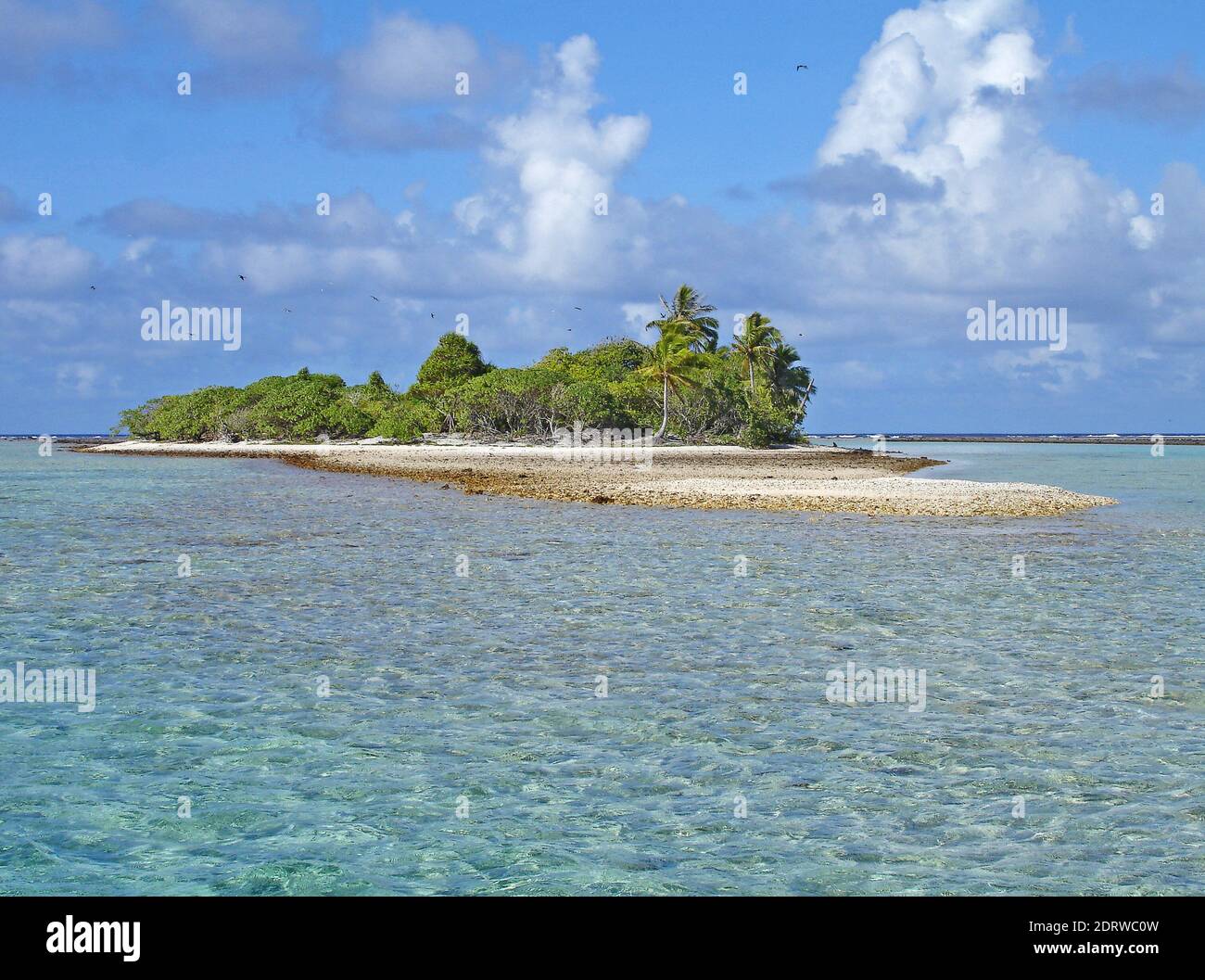 Rangiroa  Tuamotueilanden, Rangiroa Tuamotu Islands Stock Photo