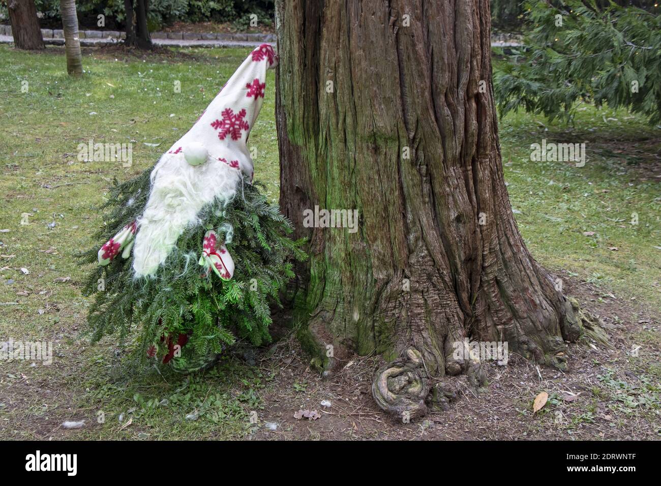 Small garden dwarf made of pine twigs as a Christmas decoration in a city park in Opatija, Croatia Stock Photo