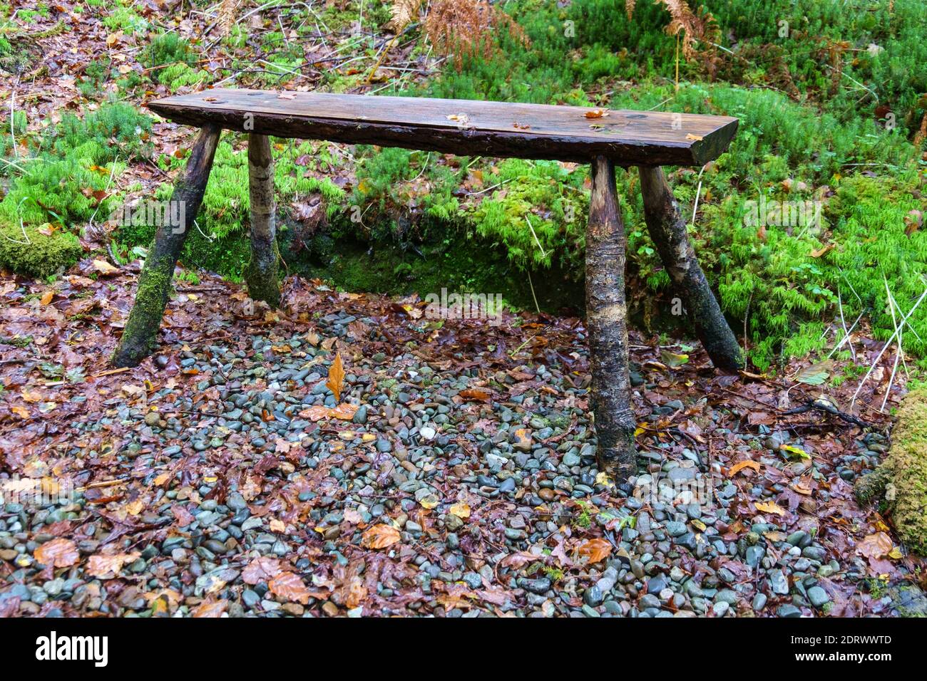 Rustic Wooden Bench Stock Photo
