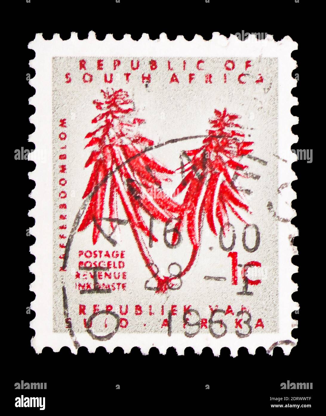 MOSCOW, RUSSIA - FEBRUARY 10, 2019: A stamp printed in South Africa shows Erythrina, Definitive Issue - Decimal Issueserie, circa 1968 Stock Photo