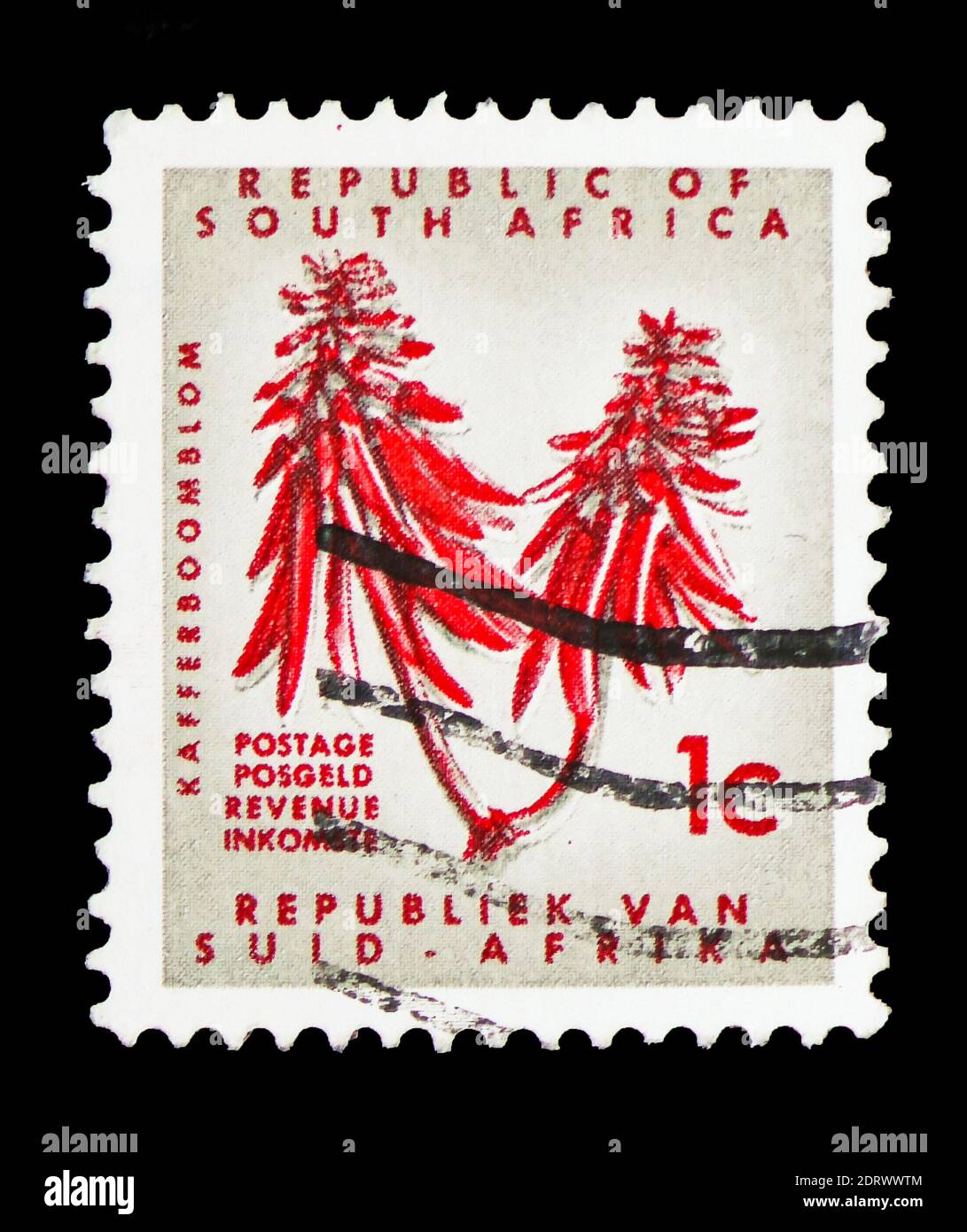 MOSCOW, RUSSIA - FEBRUARY 10, 2019: A stamp printed in South Africa shows Erythrina, Definitive Issue - Decimal Issueserie, circa 1968 Stock Photo