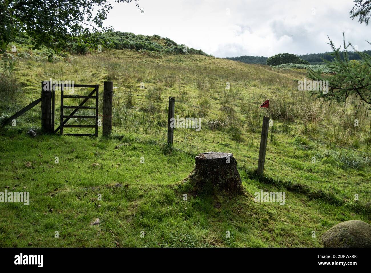 Gate leading to rough hillside Stock Photo