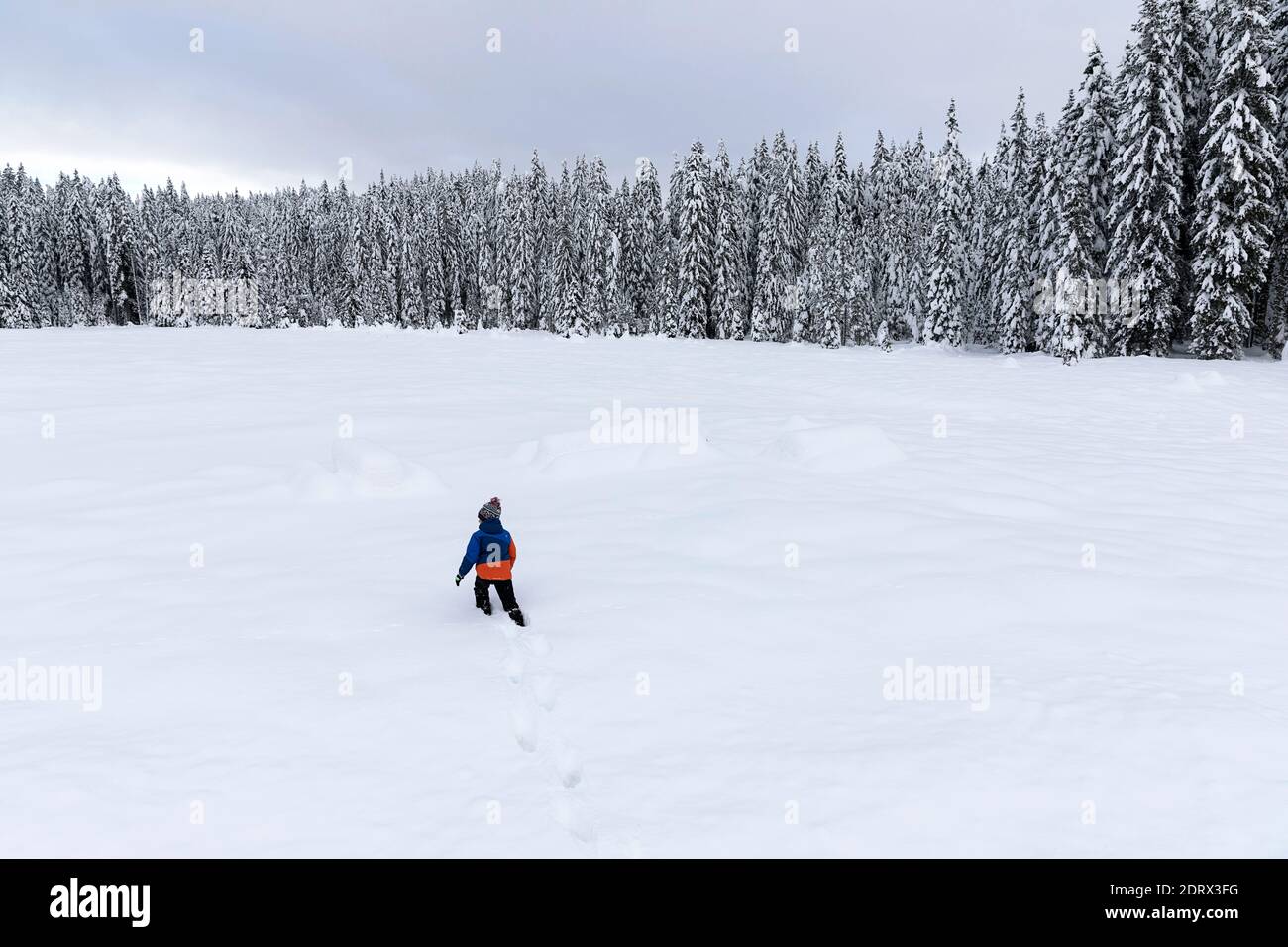 Winter day, a lot of snow, boy walking in  the snow Stock Photo