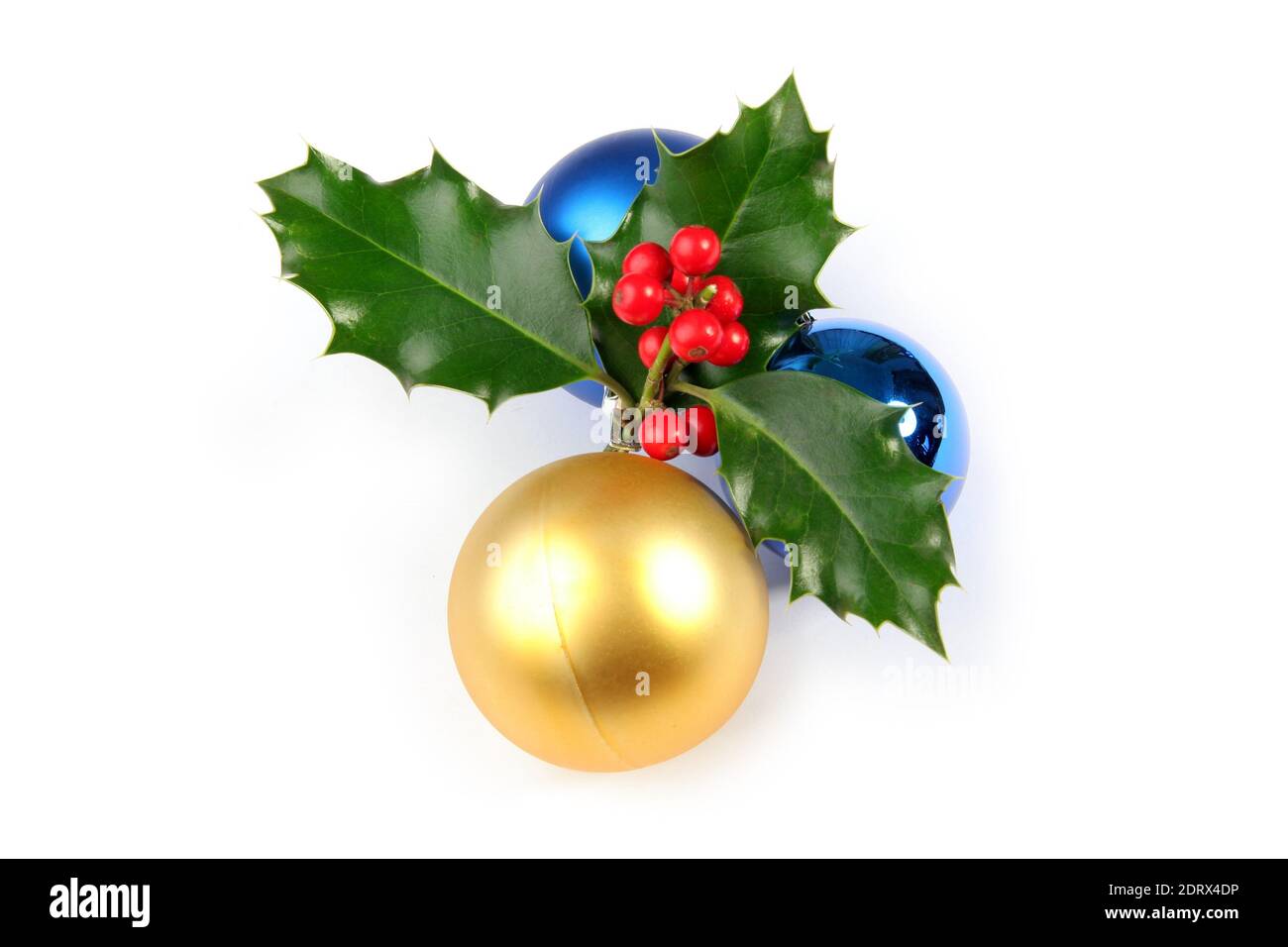 Christmas decoration with a branch of holly and blue and golden balls. Photo isolated on white background - Stock Image