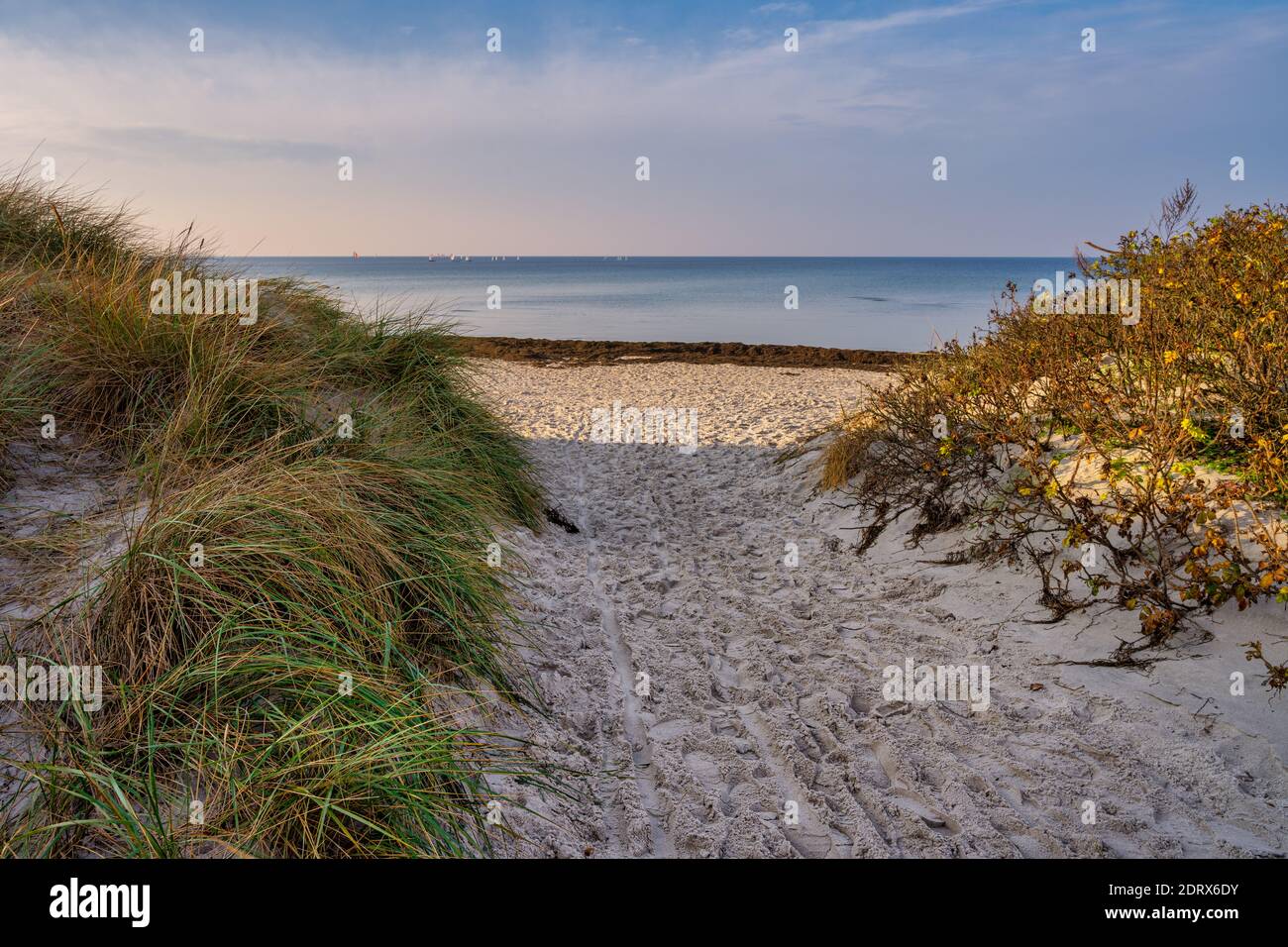 Footprints on a sandy beach. Photo from Lomma Beach, Scania county ...