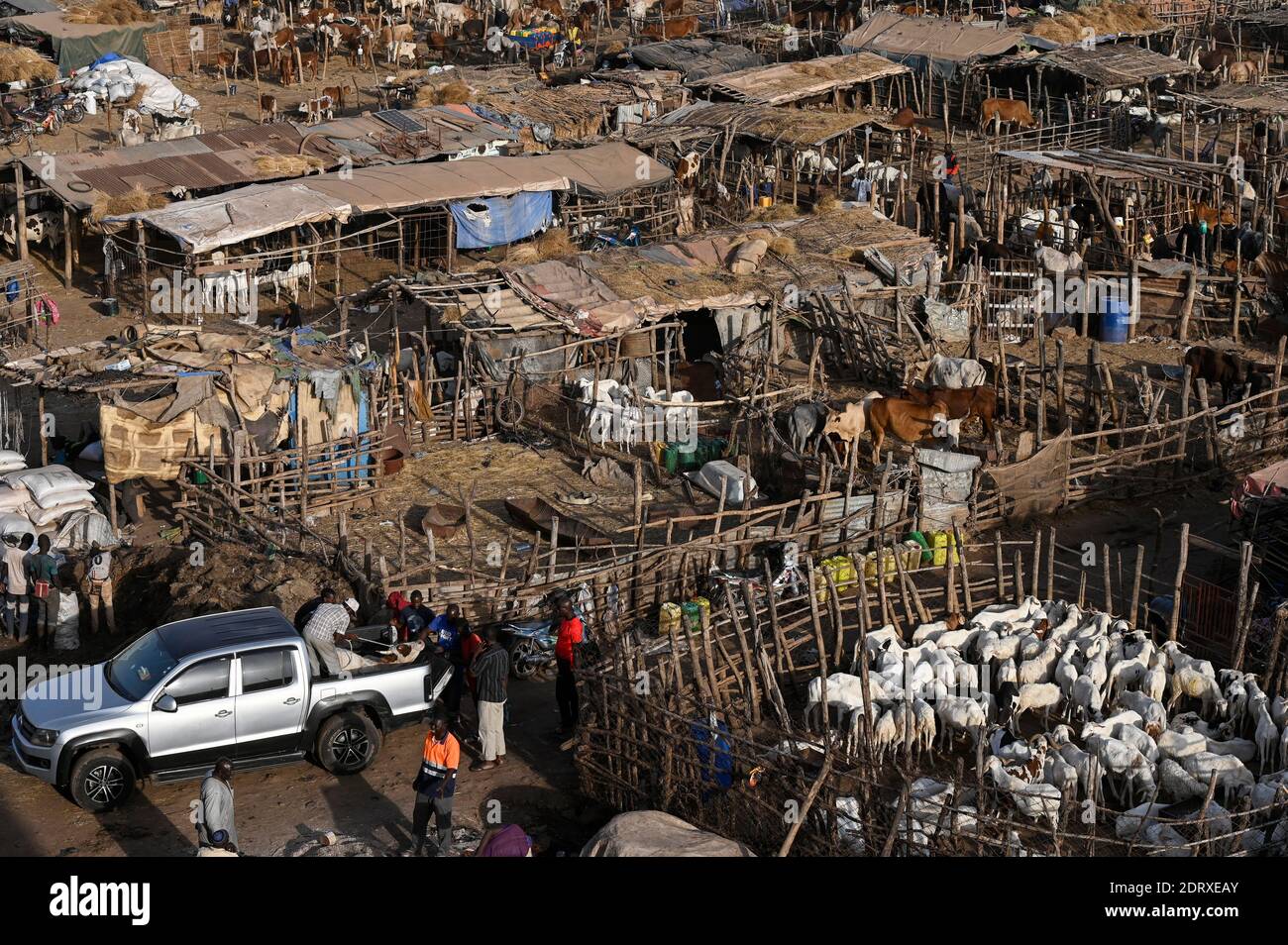 MALI, Bamako, IDP camp Faladjié, Peulh people settled here after ethnic conflicts with Dogon people in the region Mopti, cattle stable of Peulh herdsmen / Faladié, Peulh Fluechtlinge haben sich nach ethnischen Konflikten mit Dogon in der Region Mopti hier angesiedelt, Peulh mit ihren Tierherden Stock Photo
