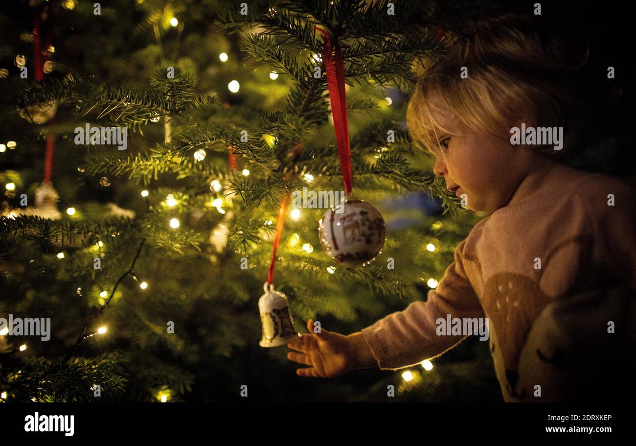 Die 16 Monate alte Emilia (1) bewundert den Weihnachtsbaum, der mit Hutschenreutherkugeln geschmückt ist, bei ihren Großeltern andächtig. 16-month-old Stock Photo