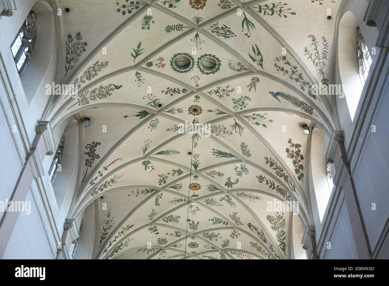Herb garden, herbarium on the vaulted ceiling of the nave, Michelsberg Monastery, Michaelsberg, former Benedictine Abbey, Bamberg, Upper Franconia, Ba Stock Photo