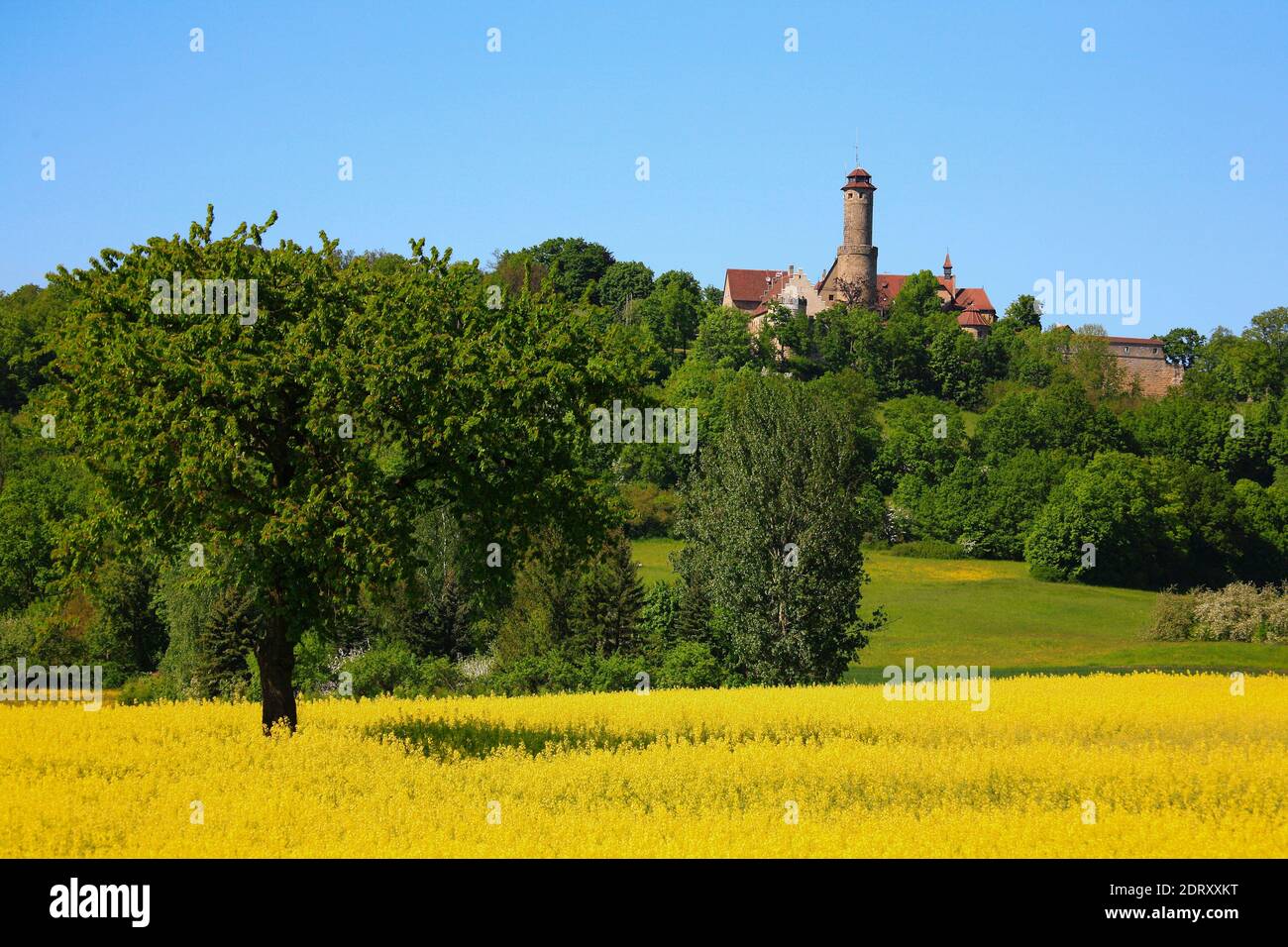 Altenburg, medieval hilltop castle, city of Bamberg, Upper Franconia, Bavaria, Germany  /  Altenburg, mittelalterliche Höhenburg, Stadt Bamberg, Oberf Stock Photo