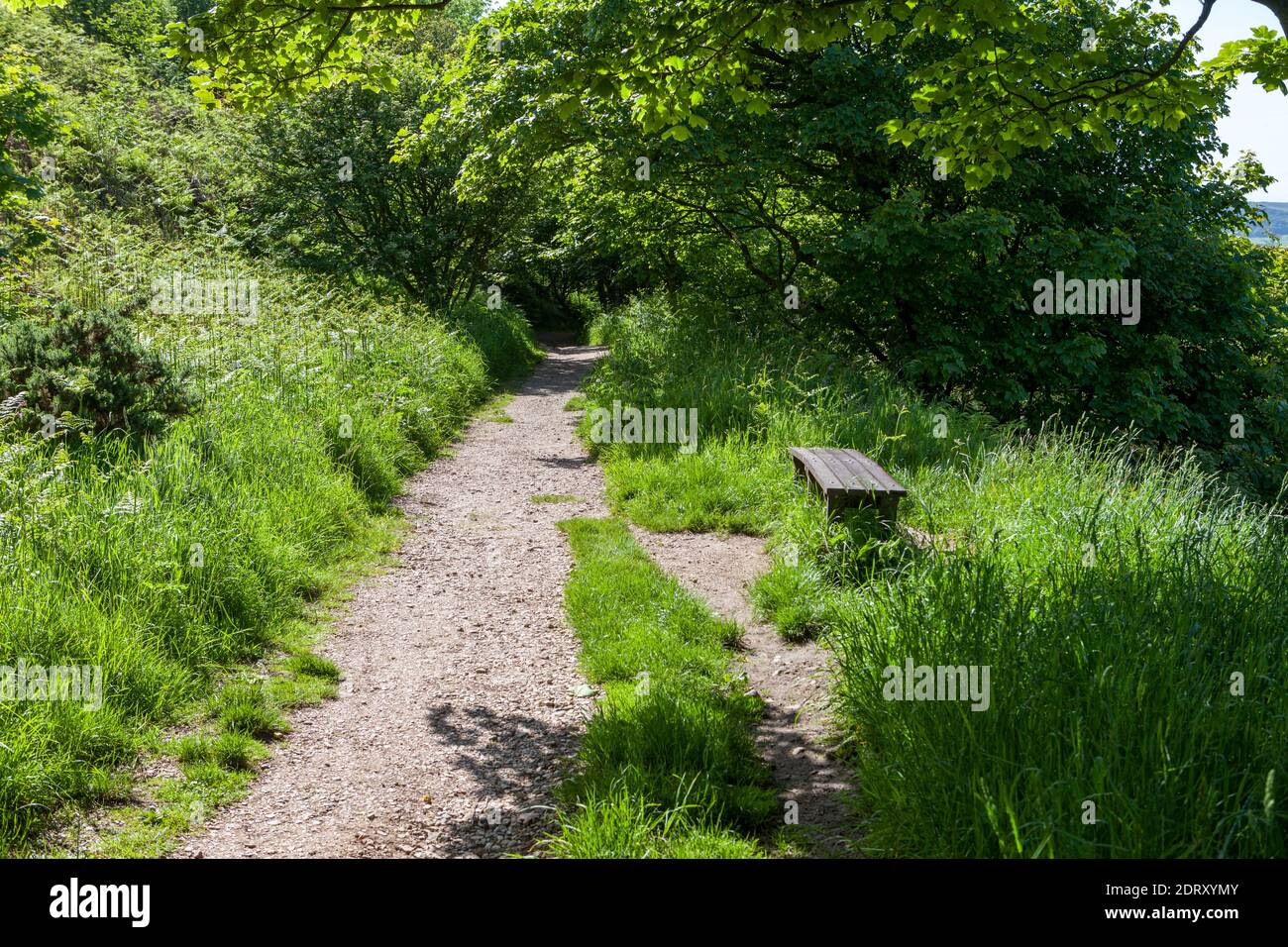 Cinder track hires stock photography and images Alamy