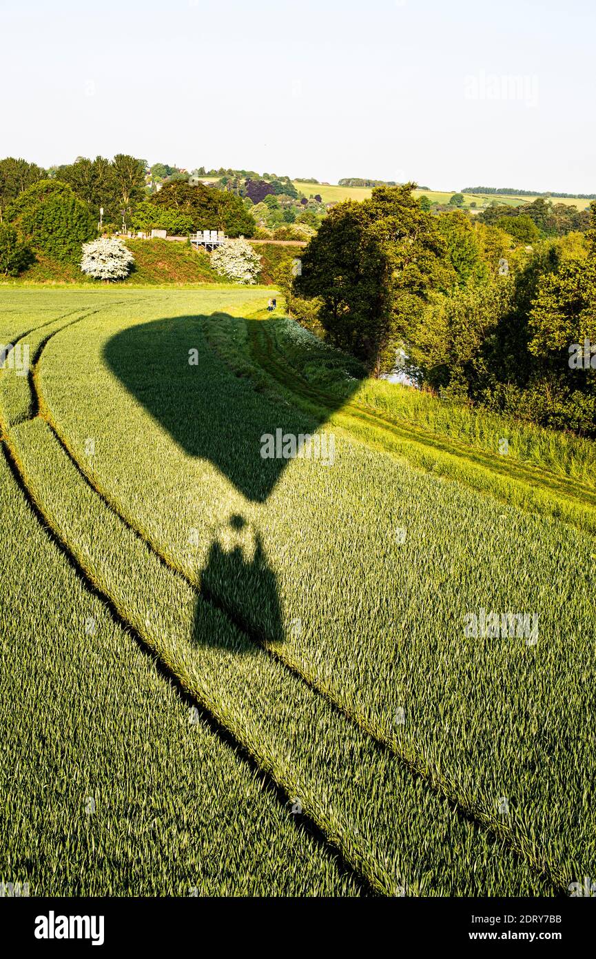 Balloon low flying over crop, Bristol, UK Stock Photo