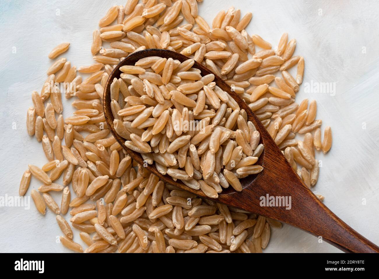 Ancient Kamut Grain on a Wood Spoon Stock Photo
