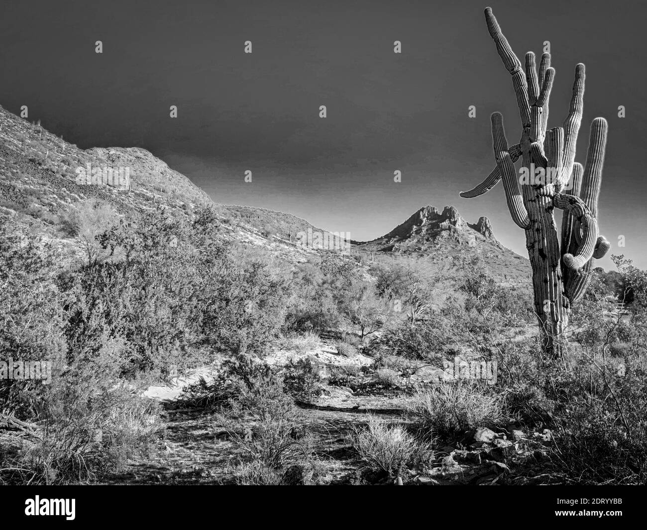 Black mesa arizona hi-res stock photography and images - Alamy