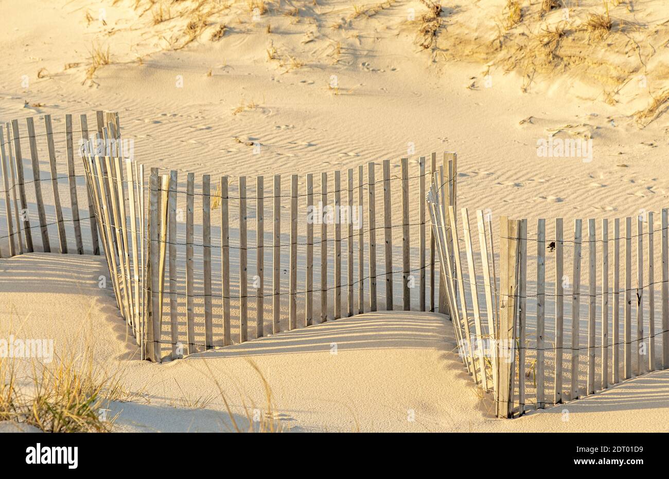 Detail image of sand fencing at a Southampton Beach, NY Stock Photo