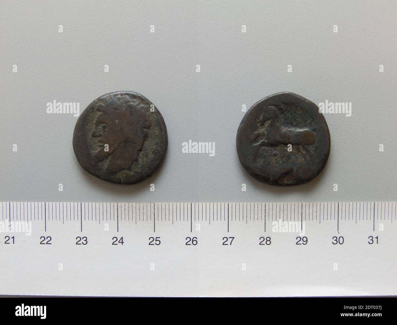 Ruler: Micipsa, King of Numidia, ruled 148–118 B.C.Mint: Numidia, Coin of Micipsa from Numidia, 148–118 B.C., Bronze, 13.11 g, 8:00, 25.6 mm, Made in Numidia, Numidian, 2nd century B.C., Numismatics Stock Photo