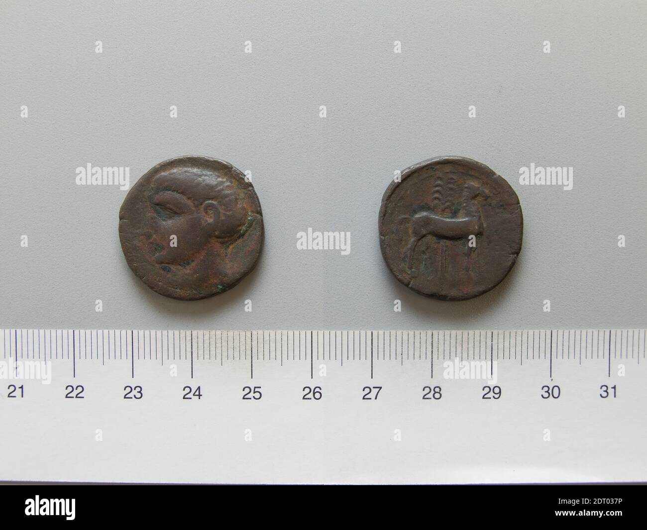 Ruler: Masinissa, King of Numidia, 238–148 B.C., ruled 202–148 B.C.Mint: Numidia, Coin of Masinissa from Numidia, 202–148 B.C., Bronze, 11.21 g, 1:00, 24.4 mm, Made in Numidia, Numidian, 3rd–2nd century B.C., Numismatics Stock Photo