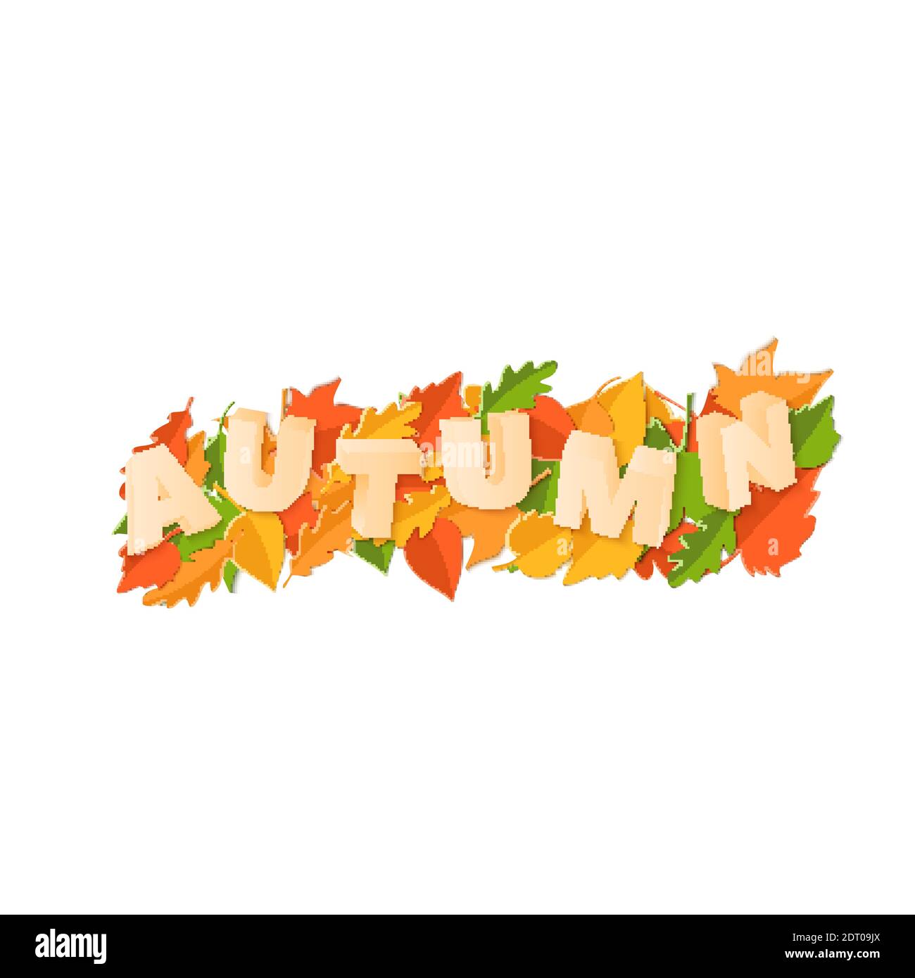 Word AUTUMN composition with green yellow red leaves on white ...