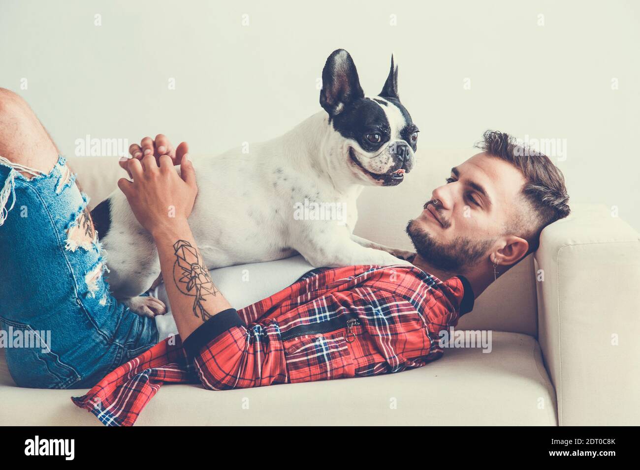 Are Bulldogs Affectionate