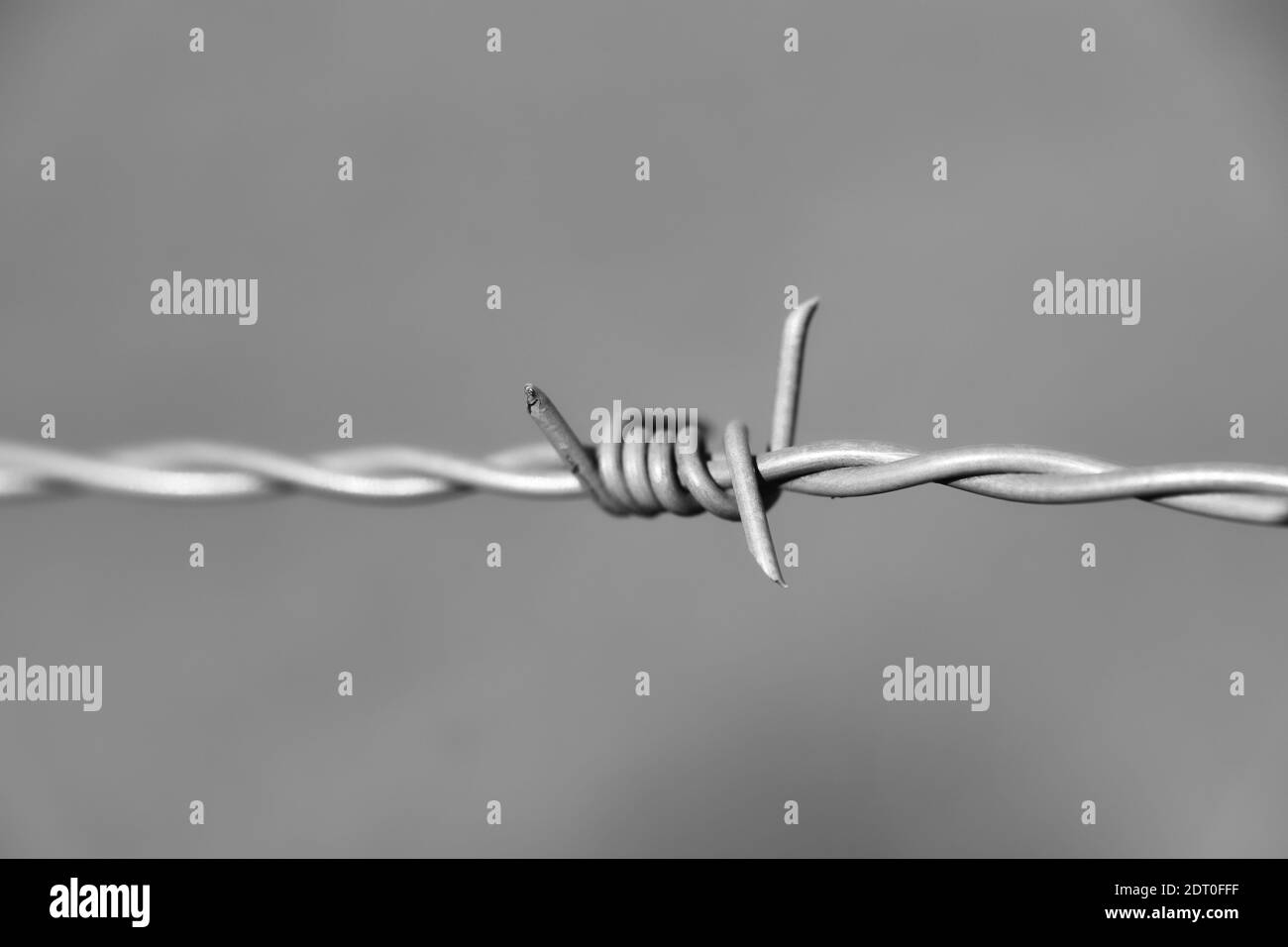 Black and white barbed hi-res stock photography and images - Alamy