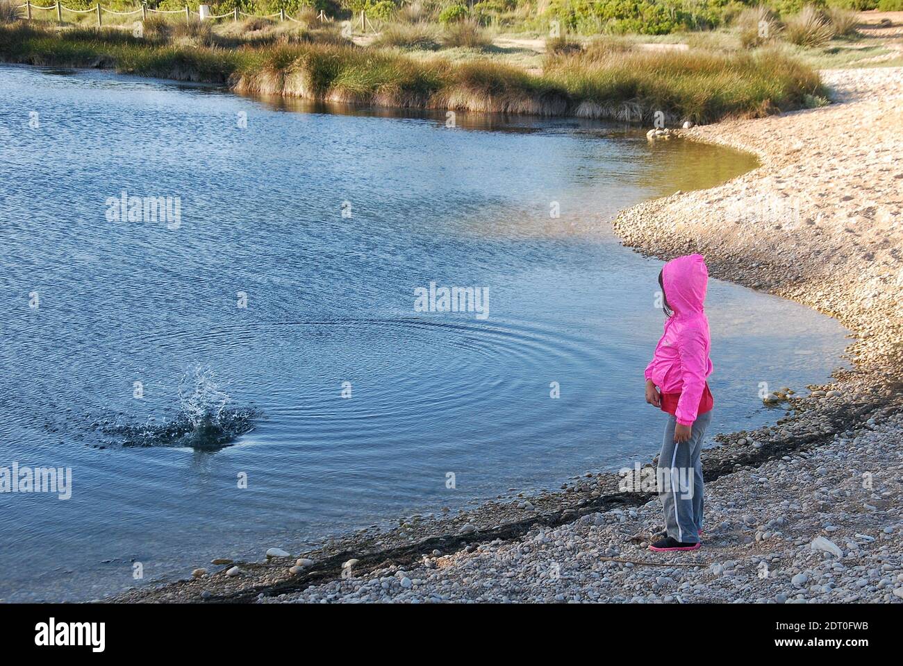 Side View Of Girl Skimming Stones In Lake Stock Photo Alamy