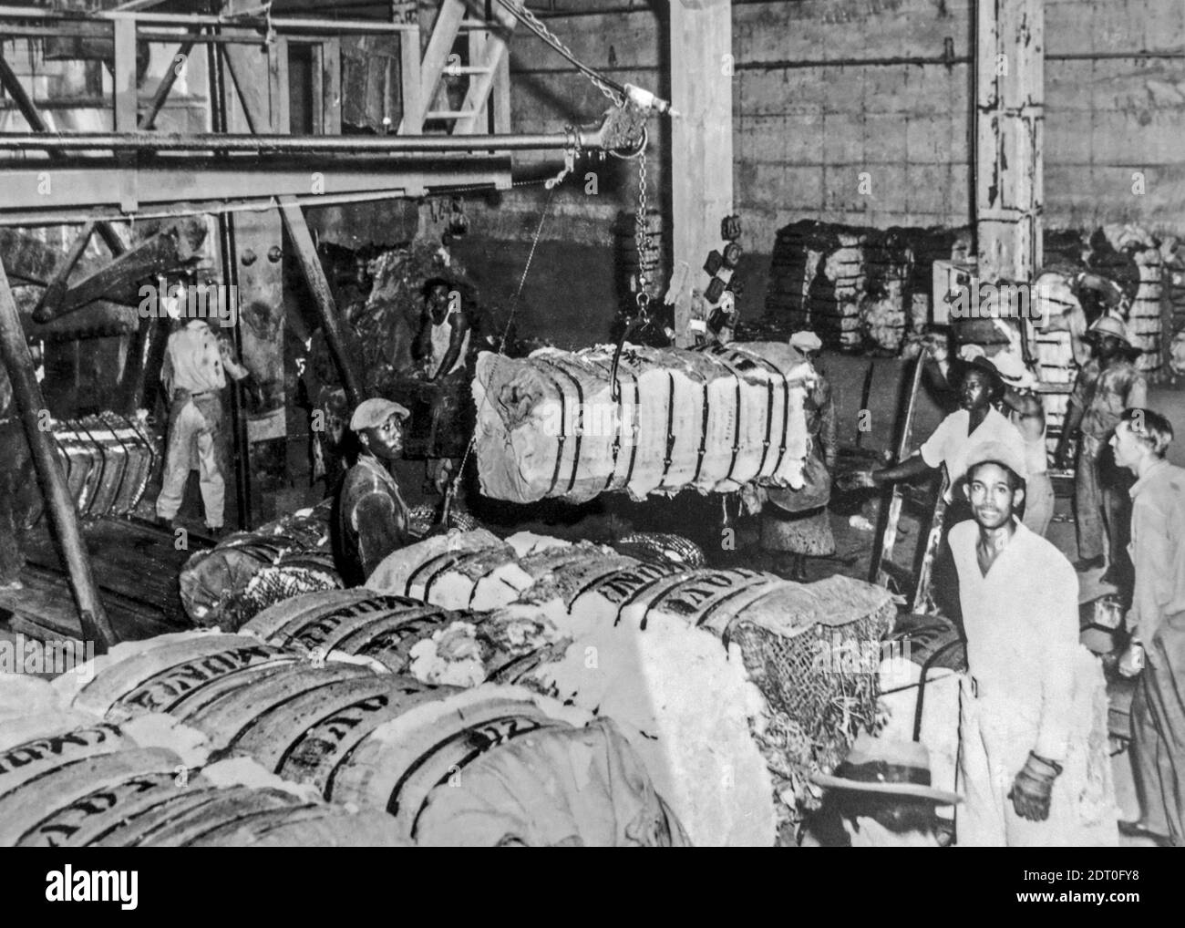 1940 black and white archival photo showing Black Afro-American labourers / workers preparing heavy bales of cotton for transport per ship, Texas, US Stock Photo