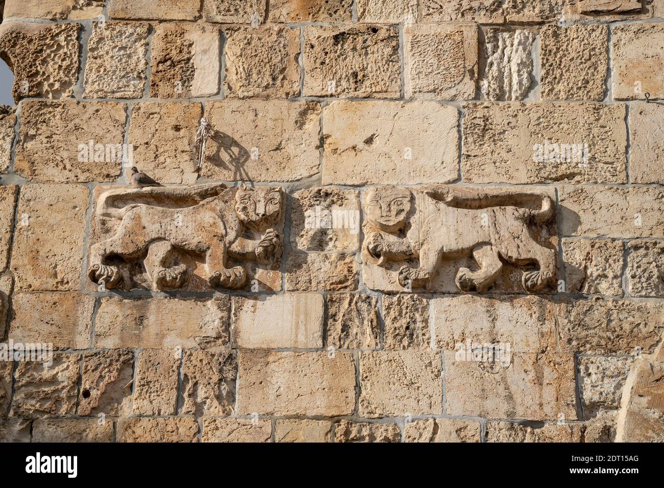 Jerusalem, Israel - December 17th, 2020: Two pairs of stone lions decorating the 'Lions gate' in the walls of ancient Jerusalem, gave it its name. Stock Photo